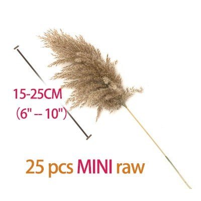 Vase Accent - Fluffy Real Dried Pampas Grass Filler Flower Plants 8, 10, 20 Piece Sm/Md - The Finishing Touch Decor