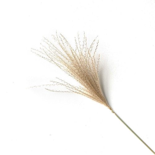 Vase Accent - Fluffy Real Dried Pampas Grass Filler Flower Plants 8, 10, 20 Piece Sm/Md - The Finishing Touch Decor