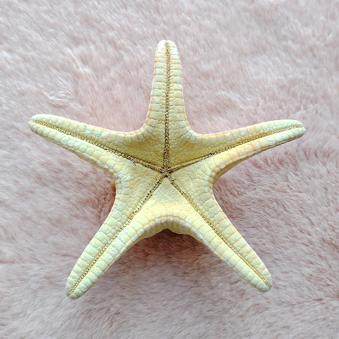 Natural Real "Knobby Armored Starfish" 18-20cm Accents/Ornaments - The Finishing Touch Decor, LLC