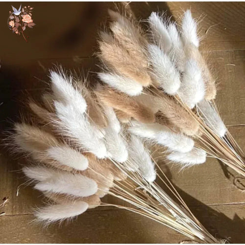 Natural Dried Bunny Tail Pampas Grass 60Pcs Fluffy Bouquet - The Finishing Touch Decor, LLC