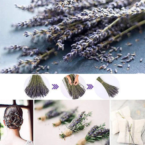 Natural Dried Lavender Flower Bunches 250-300 Stems - The Finishing Touch Decor