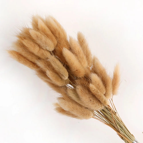 Natural Dried Bunny Tail Pampas Grass 60Pcs Fluffy Bouquet - The Finishing Touch Decor, LLC