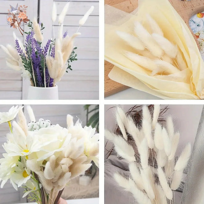 Natural Dried Bunny Tail Pampas Grass 60Pcs Fluffy Bouquet - The Finishing Touch Decor, LLC