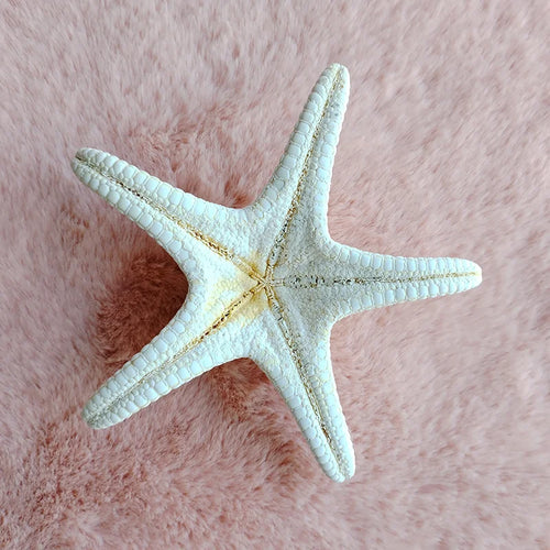 Natural Real "Knobby Armored Starfish" 18-20cm Accents/Ornaments - The Finishing Touch Decor, LLC