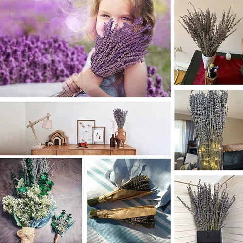 Natural Dried Lavender Flower Bunches 250-300 Stems - The Finishing Touch Decor