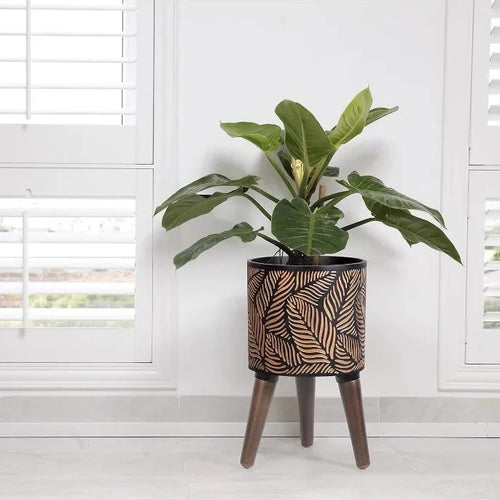 Small Fiberglass Resin Mid-Century Modern Planter with Legs - The Finishing Touch Decor, LLC