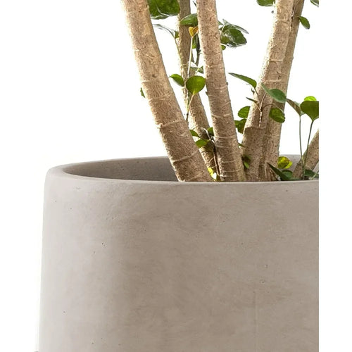 Outdoor/Indoor Set of 3 Concrete Flowerpot Planters - The Finishing Touch Decor, LLC