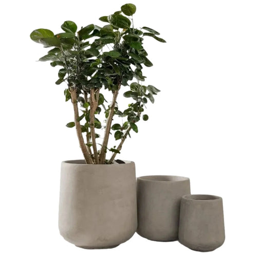 Outdoor/Indoor Set of 3 Concrete Flowerpot Planters - The Finishing Touch Decor, LLC