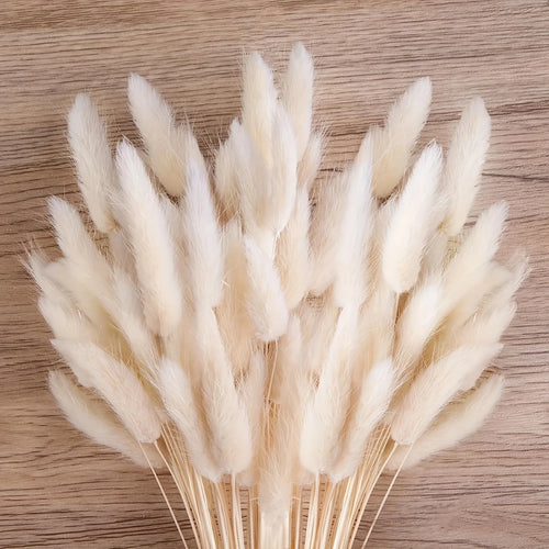 Natural Dried Bunny Tail Pampas Grass 60Pcs Fluffy Bouquet - The Finishing Touch Decor, LLC