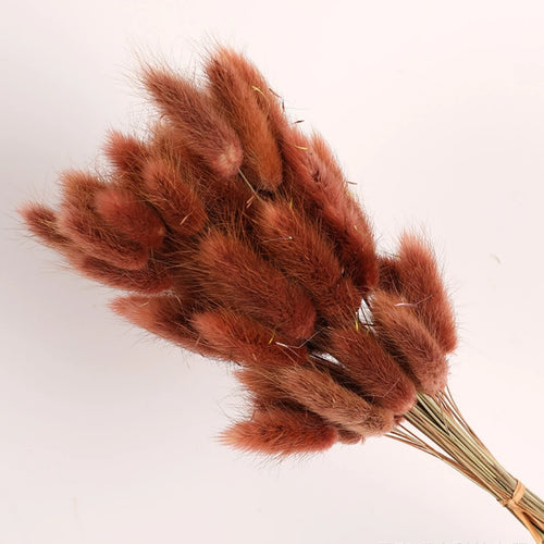 Natural Dried Bunny Tail Pampas Grass 60Pcs Fluffy Bouquet - The Finishing Touch Decor, LLC