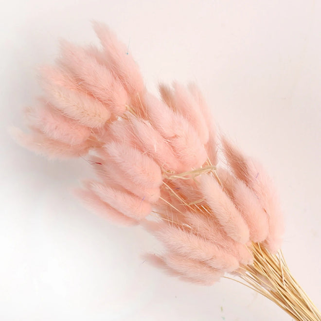 Natural Dried Bunny Tail Pampas Grass 60Pcs Fluffy Bouquet - The Finishing Touch Decor, LLC