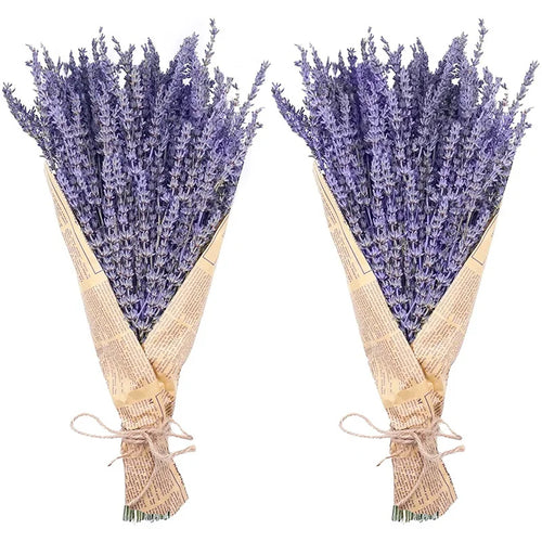 Natural Dried Lavender Flower Bunches 250-300 Stems - The Finishing Touch Decor