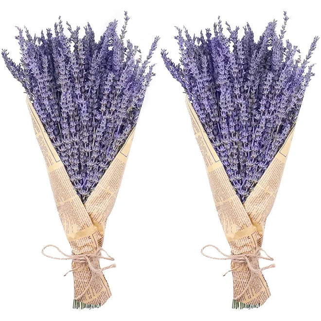 Natural Dried Lavender Flower Bunches 250-300 Stems - The Finishing Touch Decor, LLC