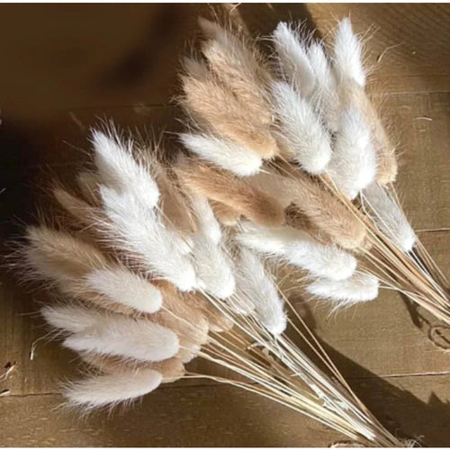 Natural Dried Bunny Tail Pampas Grass 60Pcs Fluffy Bouquet - The Finishing Touch Decor, LLC