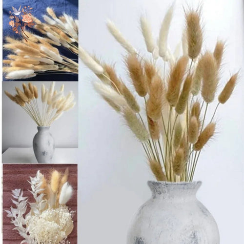 Natural Dried Bunny Tail Pampas Grass 60Pcs Fluffy Bouquet - The Finishing Touch Decor, LLC