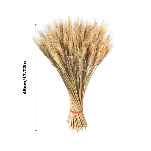 Vase Accent - Natural Wheat Ear Farmhouse Blooming Barley Dried Flower Bouquet - 100ps - The Finishing Touch Decor, LLC