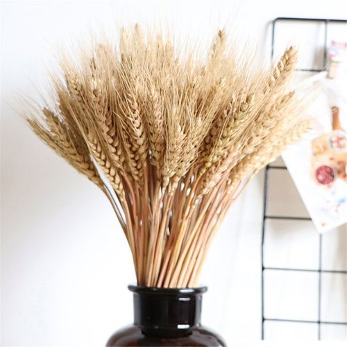 Vase Accent - Natural Wheat Ear Farmhouse Blooming Barley Dried Flower Bouquet - 100ps - The Finishing Touch Decor, LLC