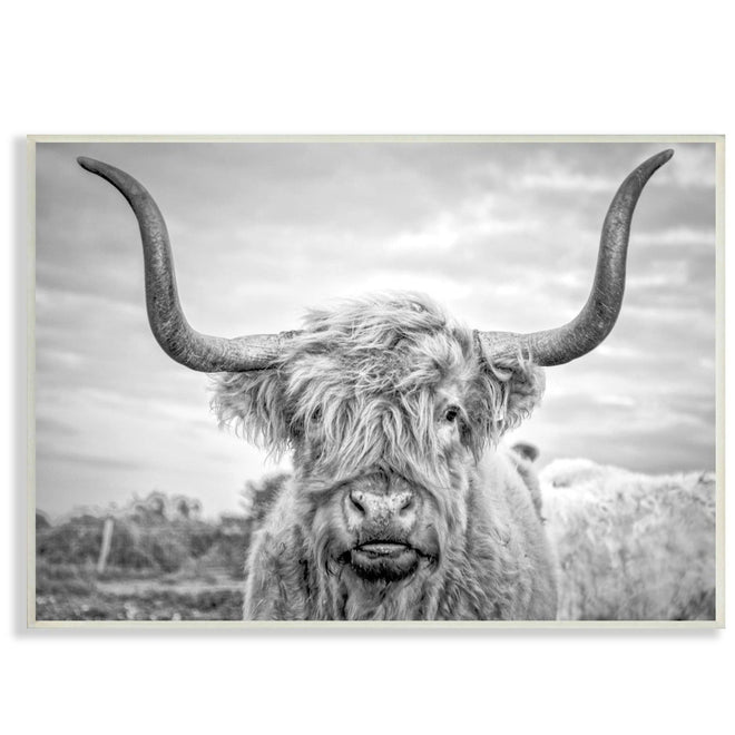 Highland Cow Black and White Photograph Wall Plaque Art 10"x15" - The Finishing Touch Decor, LLC